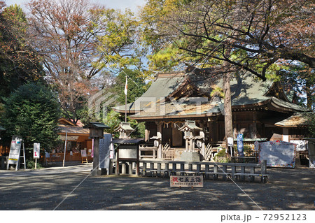 平塚市　前鳥神社　社殿 72952123