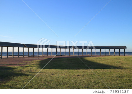 袖ケ浦海浜公園 72952187