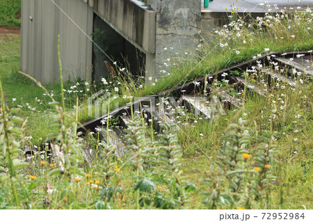 階段 段 かいだん 72952984