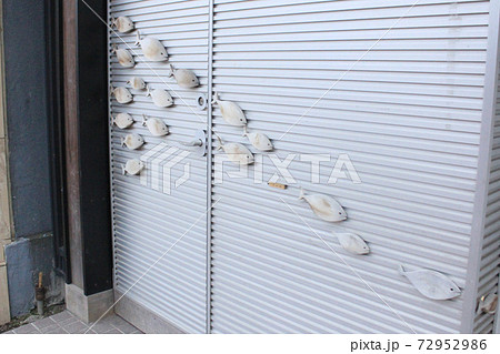 背景 バックグラウンド バックグランド 72952986