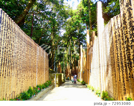 金剛證寺の卒塔婆 72953080