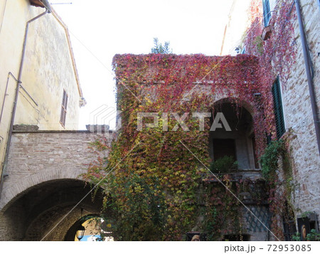 Historical detail Historical detail 72953085