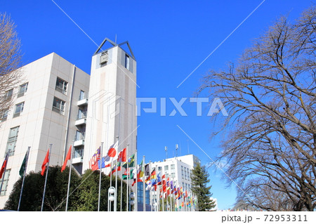 東京国際大学　川越市 72953311