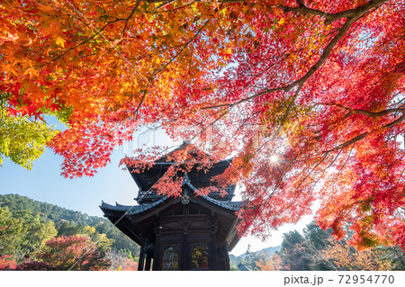 秋の南禅寺 72954770
