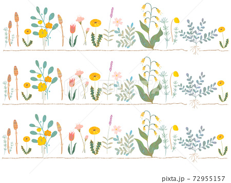 オシャレな春のお花と葉っぱのかわいい植物イラストのイラスト素材