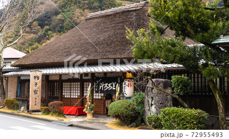 丸子宿の丁子屋名物とろろ汁 丸子宿の丁子屋名物とろろ汁 72955493