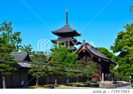 京都 東寺 京都 東寺 72957003