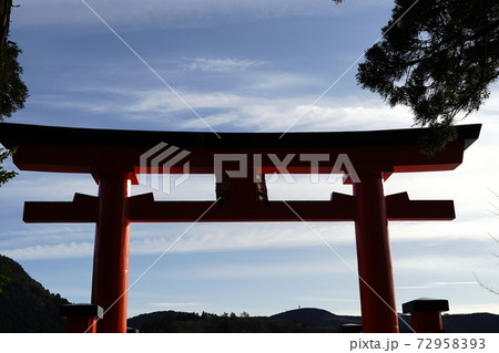 箱根神社　初詣　赤い鳥居　石灯篭　野外　参拝　空　木 72958393