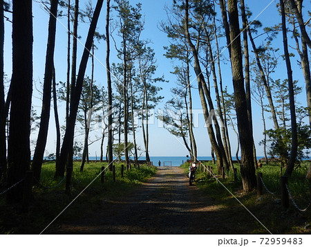 煙樹ヶ浜でひと休み 72959483
