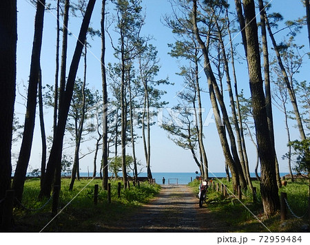 煙樹ヶ浜でひと休み 煙樹ヶ浜でひと休み 72959484
