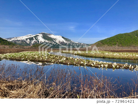 尾瀬ヶ原_下ノ大堀_至仏山 72961421