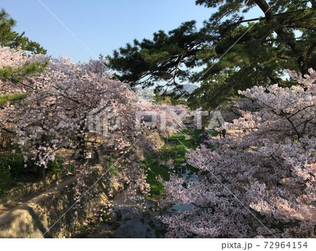夙川 72964154