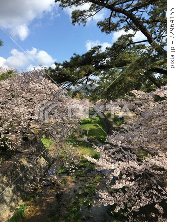 夙川 72964155