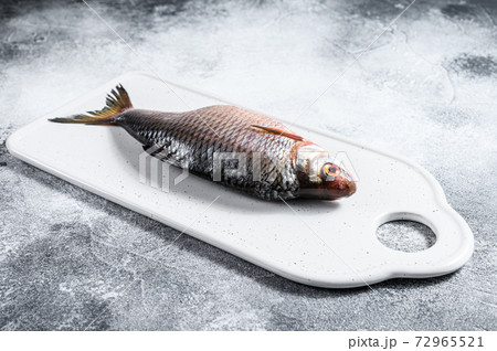 crucian carp on a white chopping Board. Gray crucian carp on a white chopping Board. Gray 72965521