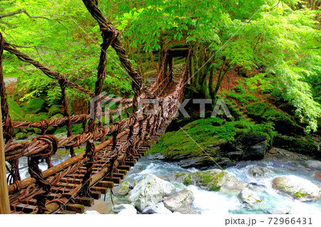 奥祖谷二重かずら橋・ワイヤー補強がないスリル満点のかずら橋の眺め・女橋・四国・徳島県三好市祖谷(2) 72966431