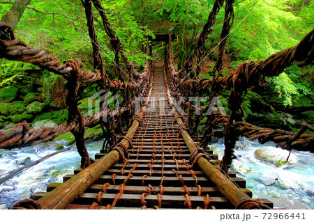 奥祖谷二重かずら橋・秘境感が漂うかずら橋を渡り始めるイメージ・女橋・四国・徳島県三好市祖谷(8) 72966441