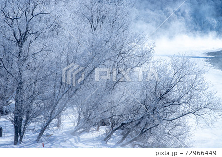北海道冬の風景 富良野の樹氷 北海道冬の風景 富良野の樹氷 72966449
