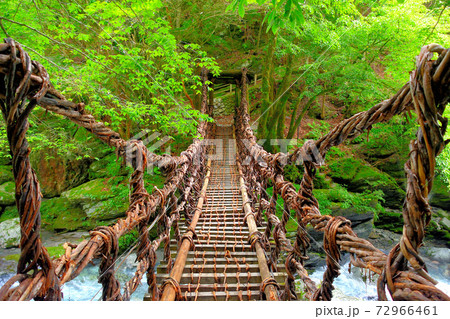 奥祖谷二重かずら橋・歩く度に揺れる、スリル満点のかずら橋を渡る・女橋・四国・徳島県三好市祖谷(1) 奥祖谷二重かずら橋・歩く度に揺れる、スリル満点のかずら橋を渡る・女橋・四国・徳島県三好市祖谷(1) 72966461