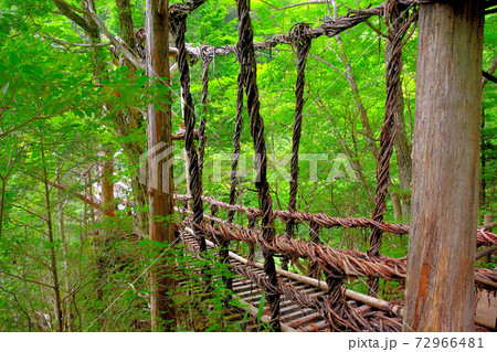 奥祖谷二重かずら橋・高い位置に掛かる男橋の入口の眺め・四国・徳島県三好市祖谷(1) 奥祖谷二重かずら橋・高い位置に掛かる男橋の入口の眺め・四国・徳島県三好市祖谷(1) 72966481