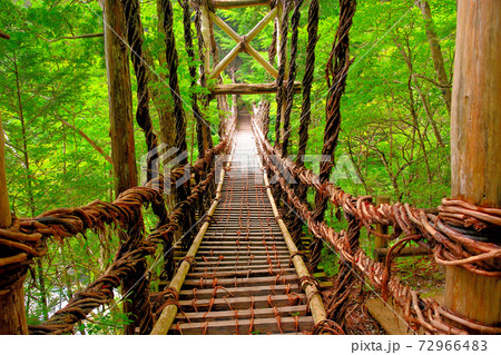 奥祖谷二重かずら橋・長くて高いスリリングな男橋を渡り始めるイメージ・四国・徳島県三好市祖谷(1) 72966483