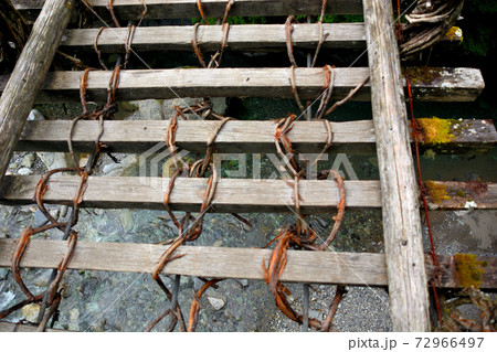 奥祖谷二重かずら橋・ハシゴのような造りの踏み板越しに曽谷渓谷を見下ろす・四国・徳島県三好市祖谷(1) 72966497