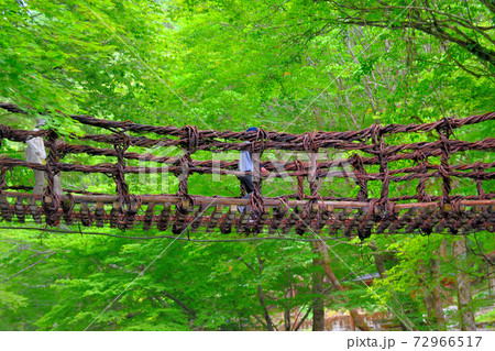 奥祖谷二重かずら橋・女橋を恐る恐る渡る観光客のイメージ・四国・徳島県三好市祖谷(3) 72966517