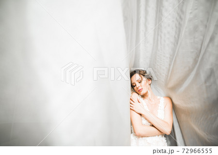 Portrait of beautiful bride with fashion veil at wedding morning Portrait of beautiful bride with fashion veil at wedding morning 72966555