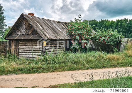 Old shack in the greenery against a gloomy sky. Abandoned old log house 72966602