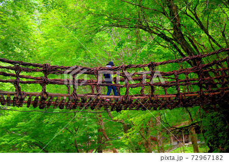 奥祖谷二重かずら橋・下を覗き込むと歩けなくなる観光客のイメージ・女橋・四国・徳島県三好市祖谷(4) 72967182