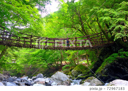 奥祖谷二重かずら橋・下を覗き込むと歩けなくなる観光客のイメージ・女橋・四国・徳島県三好市祖谷(5) 奥祖谷二重かずら橋・下を覗き込むと歩けなくなる観光客のイメージ・女橋・四国・徳島県三好市祖谷(5) 72967183