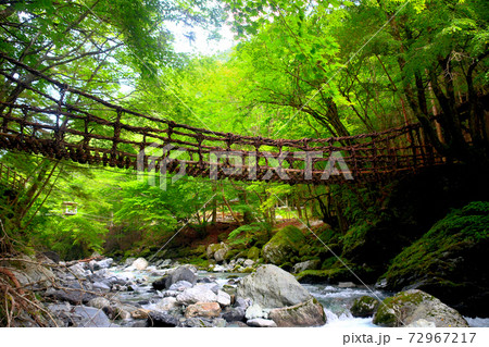 奥祖谷二重かずら橋・曽谷渓谷の美しい渓流とかずら橋の風景・暗め・女橋・四国・徳島県三好市祖谷(2) 72967217