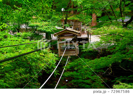 奥祖谷二重かずら橋・橋より更にスリル満点な「野猿」で谷を渡る・四国・徳島県三好市祖谷(2) 72967586