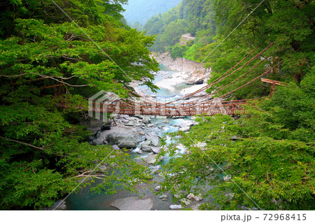 祖谷のかずら橋・祖谷渓大橋から眺めるかずら橋のイメージ・四国・徳島県三好市西祖谷(5) 祖谷のかずら橋・祖谷渓大橋から眺めるかずら橋のイメージ・四国・徳島県三好市西祖谷(5) 72968415