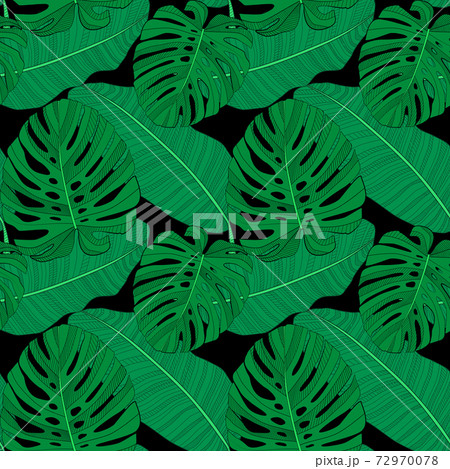 Abstract tropical palm leaf seamless pattern background. Vector Illustration 72970078