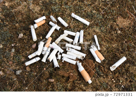 A lot of burnt cigarette butts with some ash. Smoking as a global social problem. Nicotine 72971331
