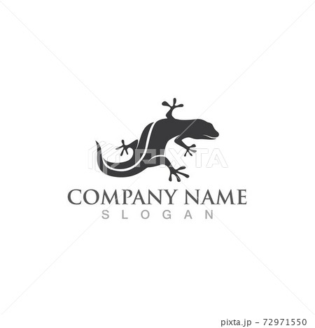 Gecko green logo vector symbol Gecko green logo vector symbol 72971550