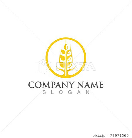 wheat logo and symbol icon vector 72971566