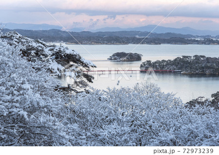 雪の松島 72973239
