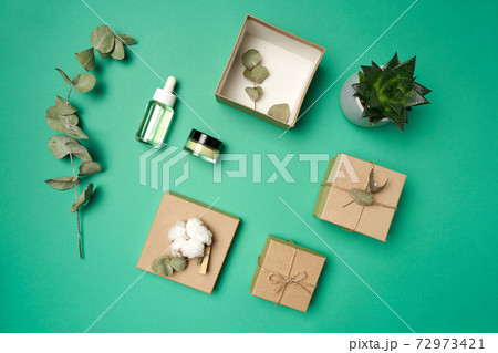 Flat lay boxes, dry eucalyptus leaves, cotton, cosmetic bottle, jar, succulent Flat lay boxes, dry eucalyptus leaves, cotton, cosmetic bottle, jar, succulent 72973421