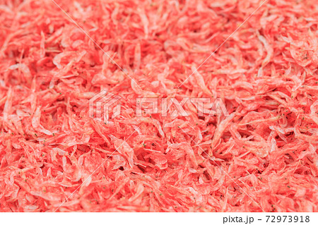 桜えびのイメージ 72973918