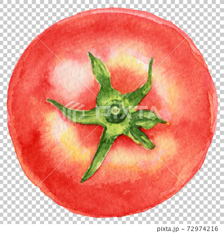 水彩上から見たトマトのイラスト素材