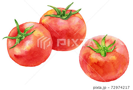 水彩3つのトマトのイラスト素材 [72974217] - PIXTA