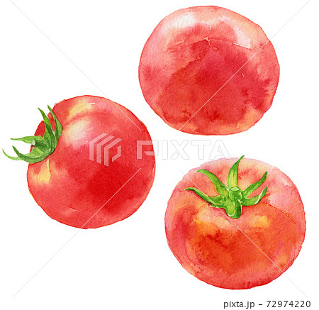 水彩バラバラの3つのトマトのイラスト素材