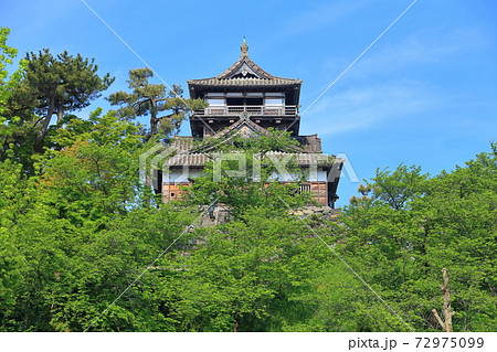【福井県】晴天下の新緑の丸岡城 72975099