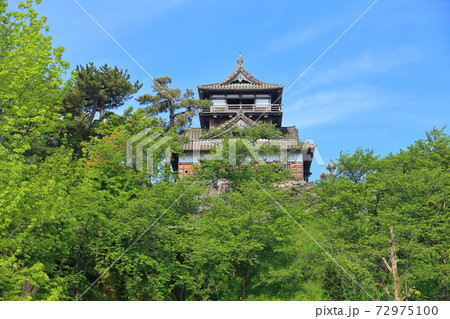 【福井県】晴天下の新緑の丸岡城 72975100