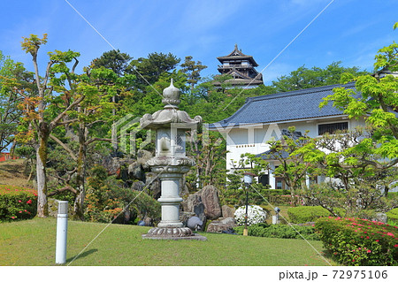 【福井県】晴天下の新緑の丸岡城 72975106