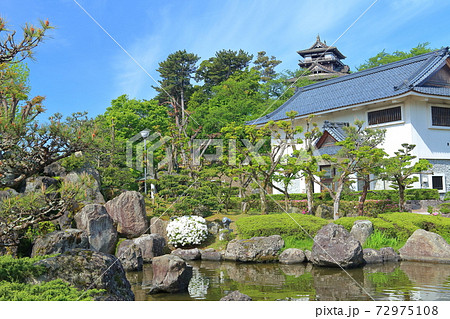 【福井県】晴天下の新緑の丸岡城 【福井県】晴天下の新緑の丸岡城 72975108