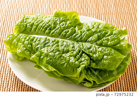 サンチュ。(焼き肉を巻いて食べることの多い野菜) 72975232