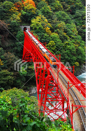 黒部峡谷入り口 宇奈月の赤い鉄橋と紅葉の写真素材