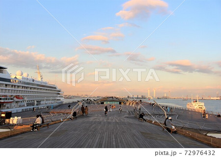 くじらのせなか（大さん橋） 72976432